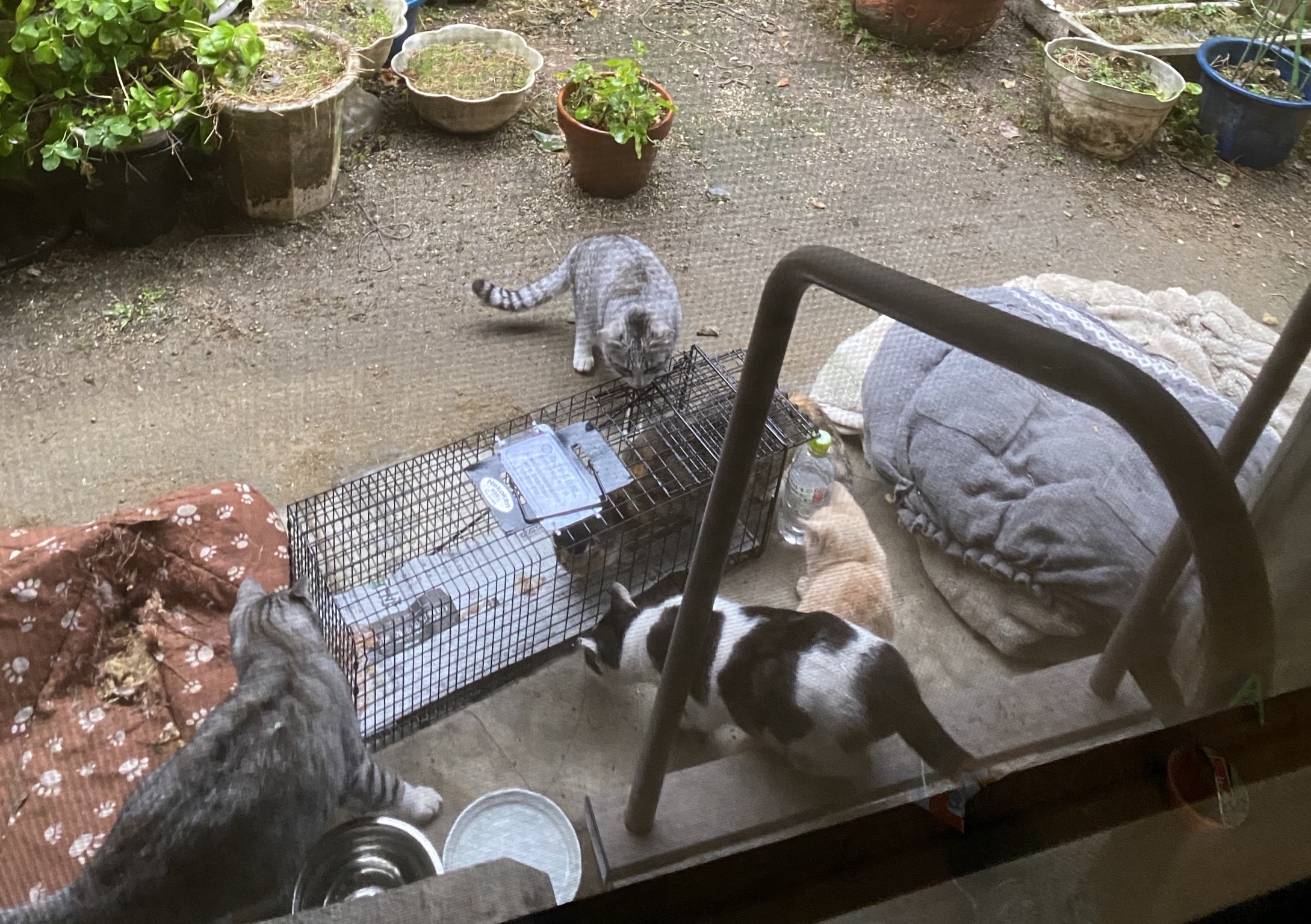 51CCE720-0B73-4FB2-848D-