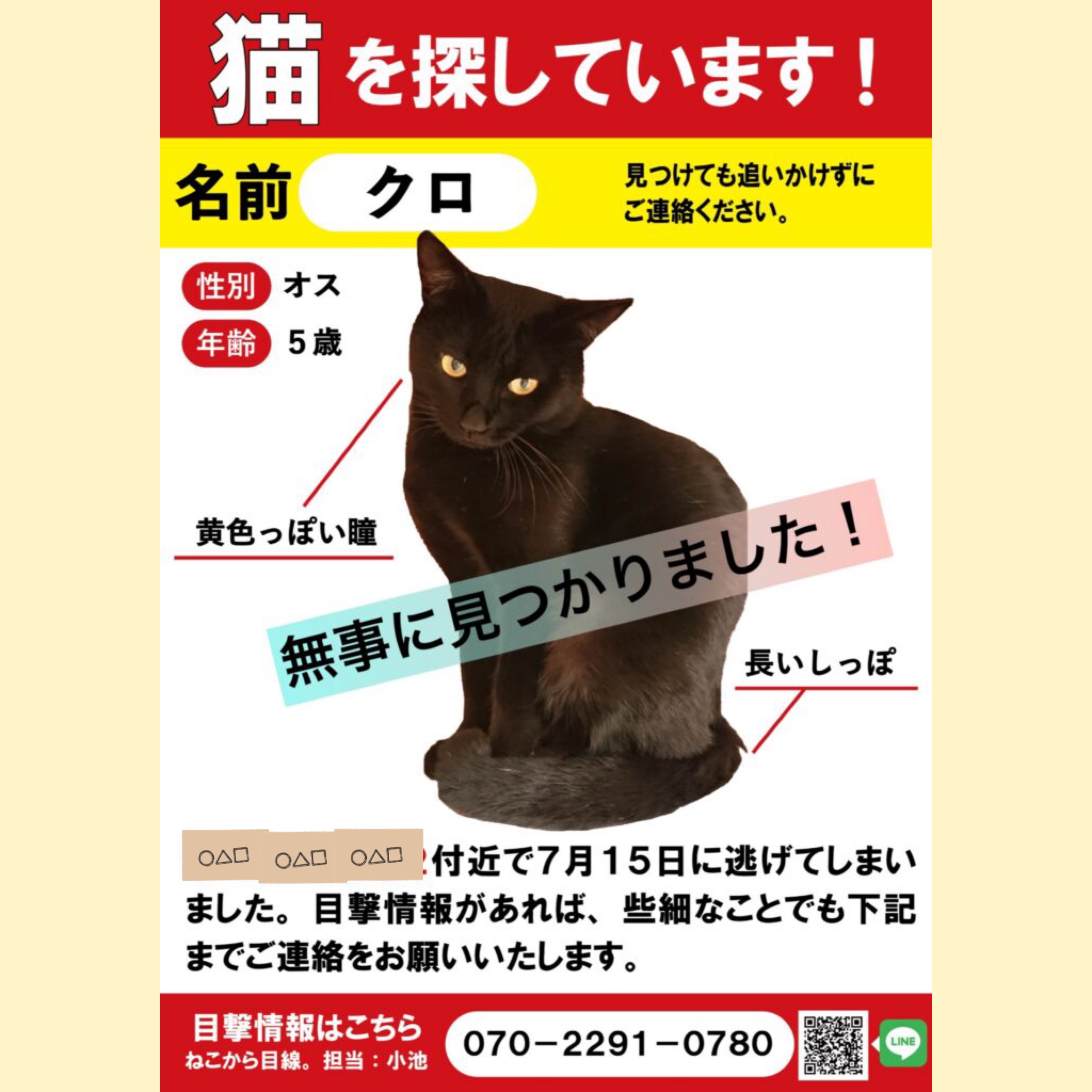 迷子猫クロ君の保護捕獲 | ねこから目線。