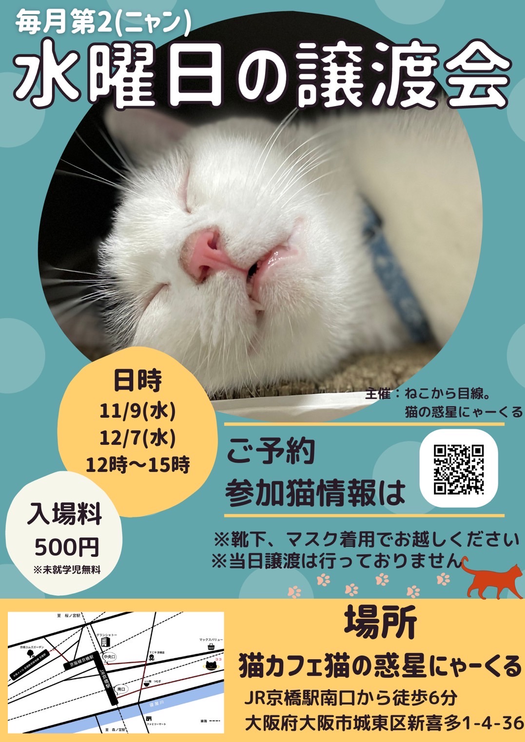 譲渡会でした！@猫の惑星にゃーくる | ねこから目線。