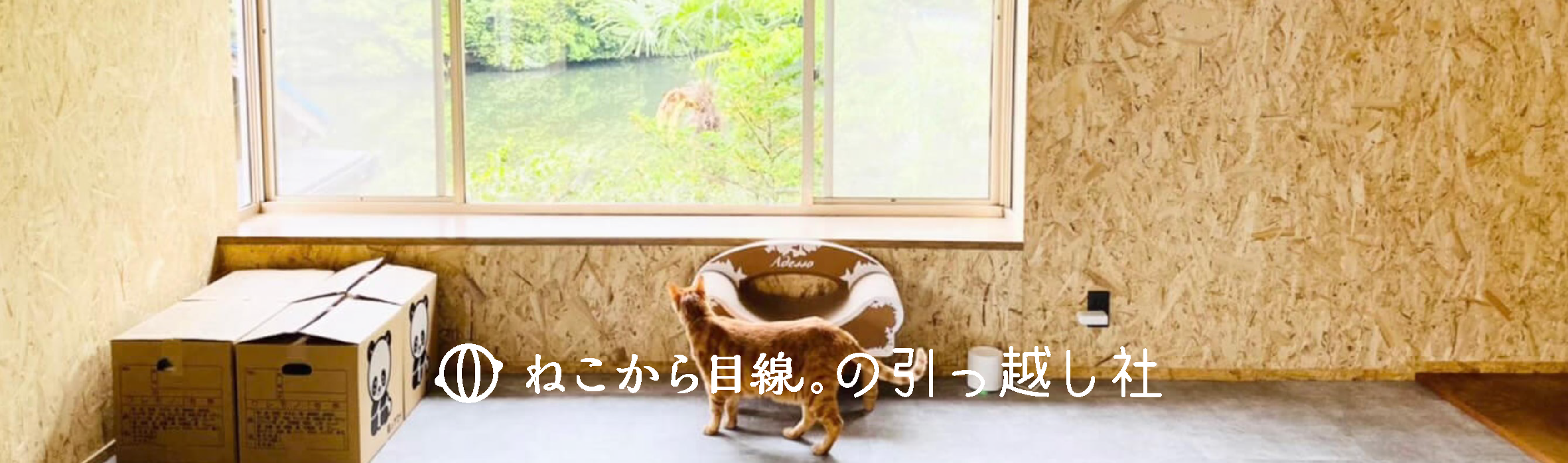 猫と引越す時の注意点 | ねこから目線。