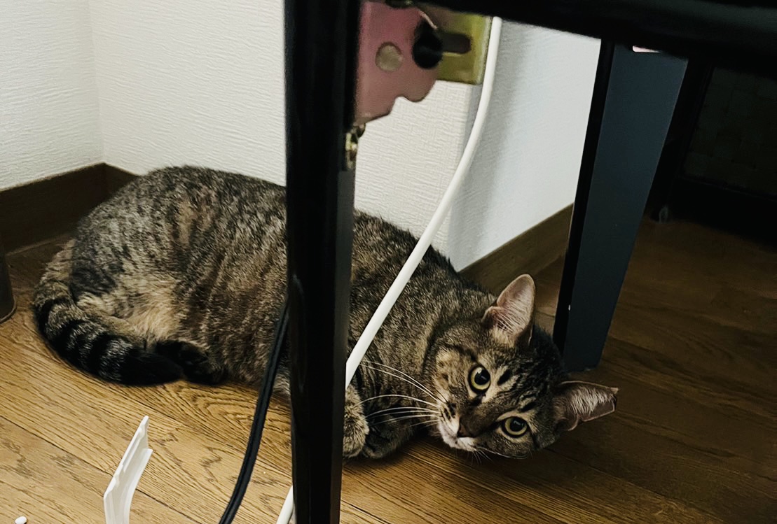 もっちさん専用 その他 もっちさん専用 その他