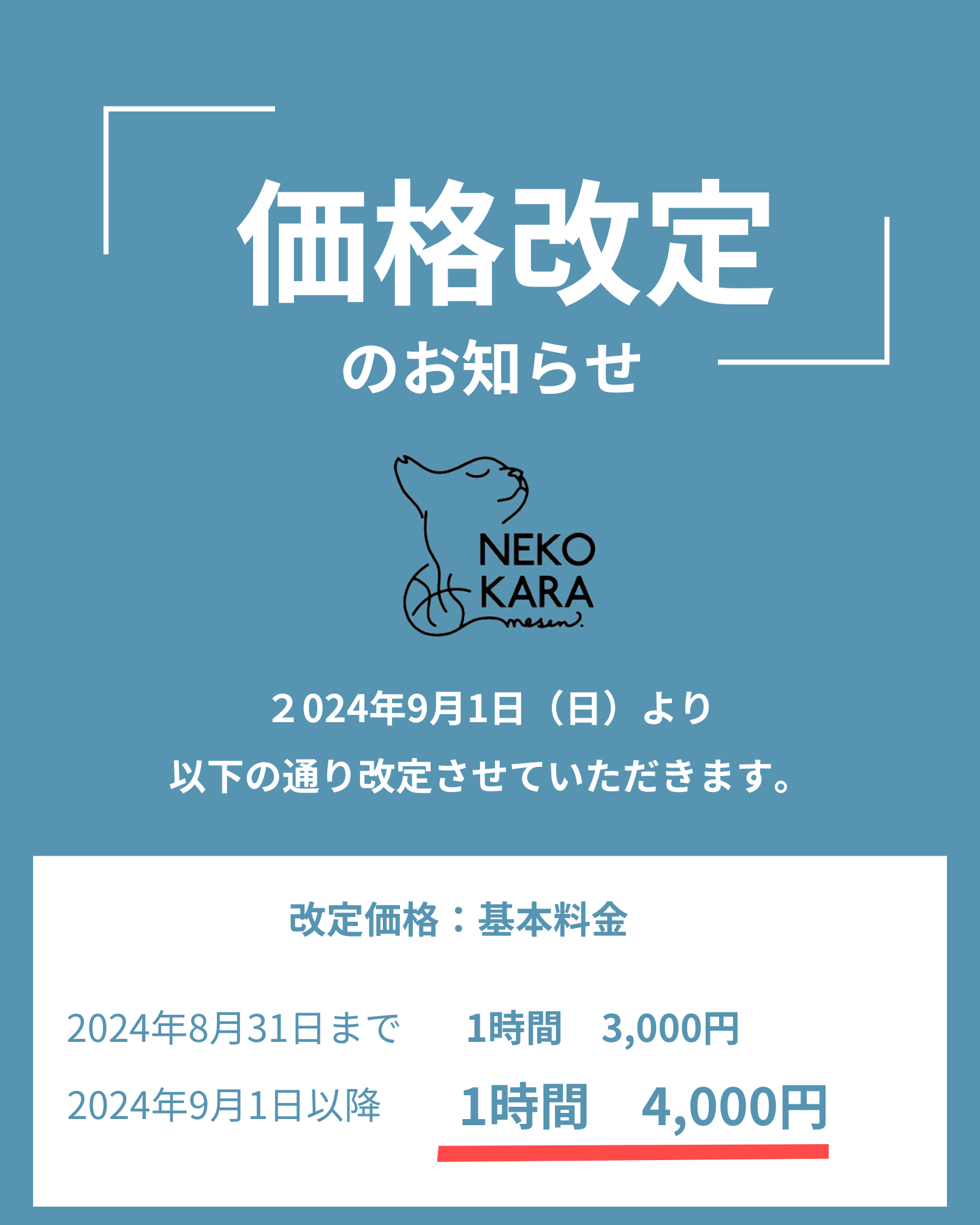 ねこから価格改定.png