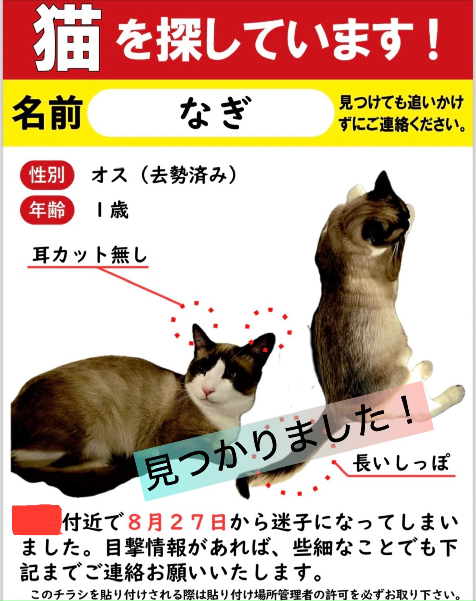 迷子猫なぎちゃん捜索のお手伝い | ねこから目線。 迷子猫なぎちゃん捜索のお手伝い | ねこから目線。