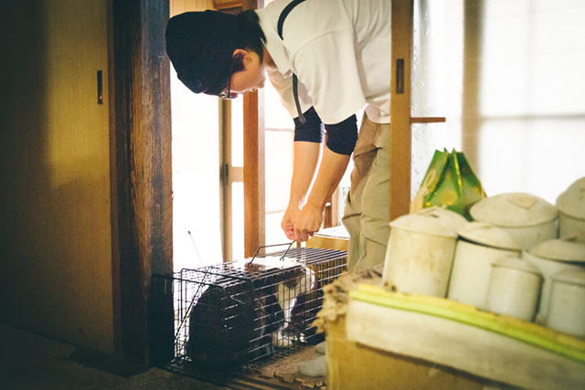 私たちについて