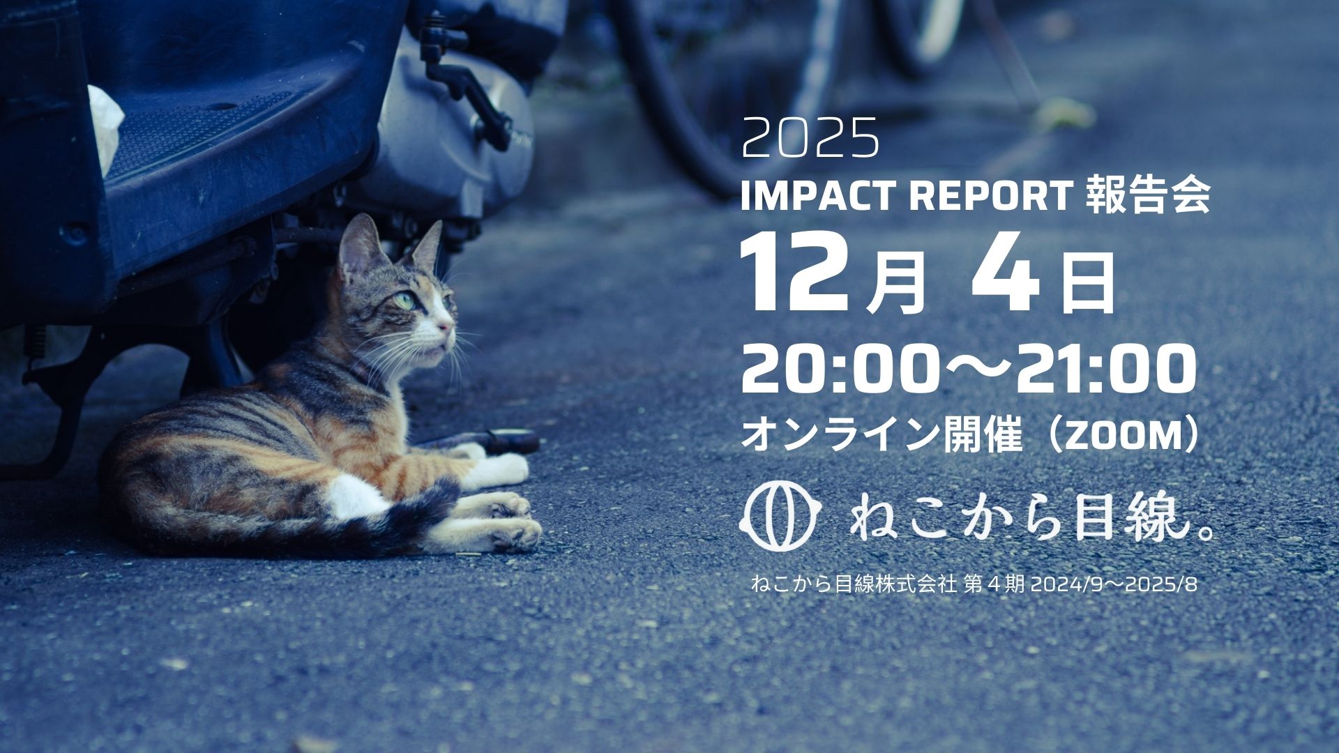 インパクトレポート2025報告会＠オンライン 開催します！ | ねこから目線。