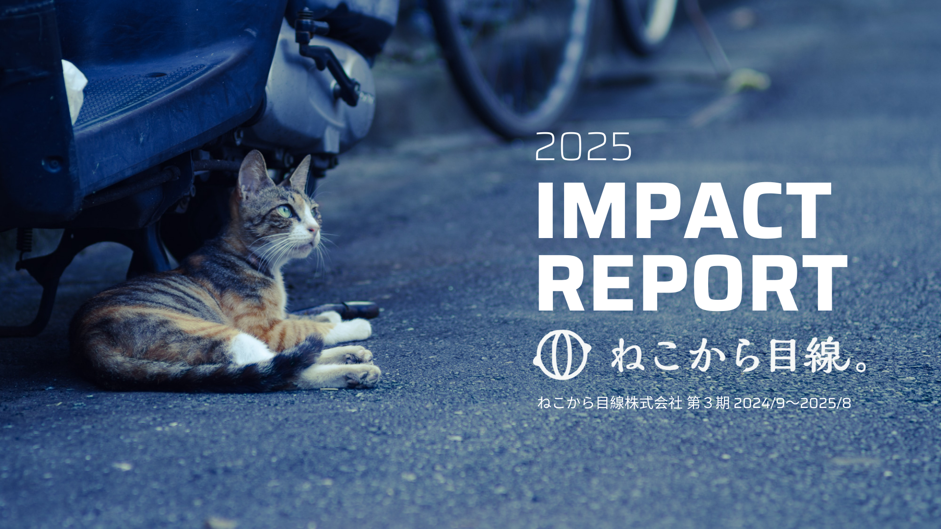 インパクトレポート2025公開しました！ | ねこから目線。