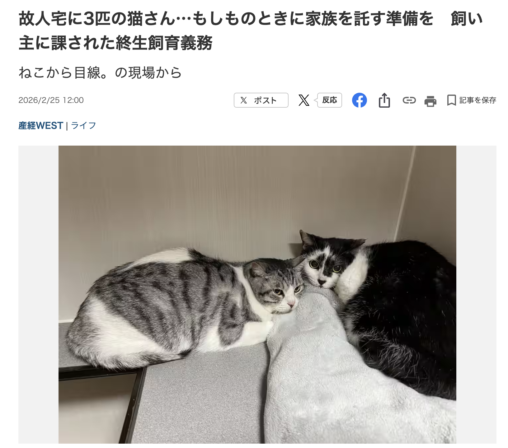 産経新聞連載2月 | ねこから目線。