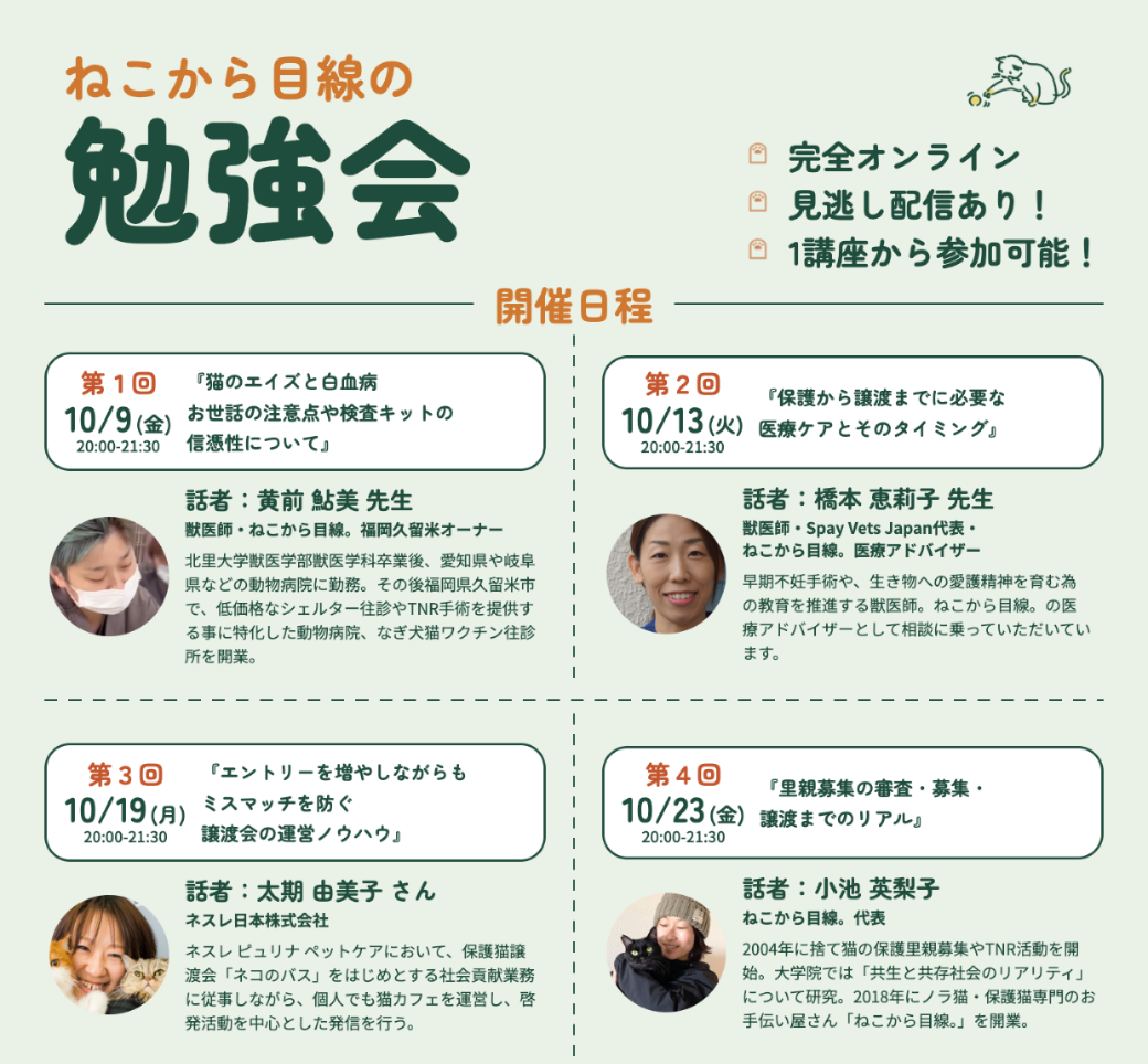 ねこから目線の勉強会 2026秋 チラシ